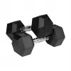 Gerubberde gietijzeren halters HEX 2x10 kg REBEL ACTIVE