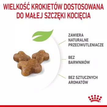 Droogvoer voor katten Royal Canin Kitten 10 kg – kip, 36 % proteïne, 18 % vet, voor kittens en drachtige/zogende poezen