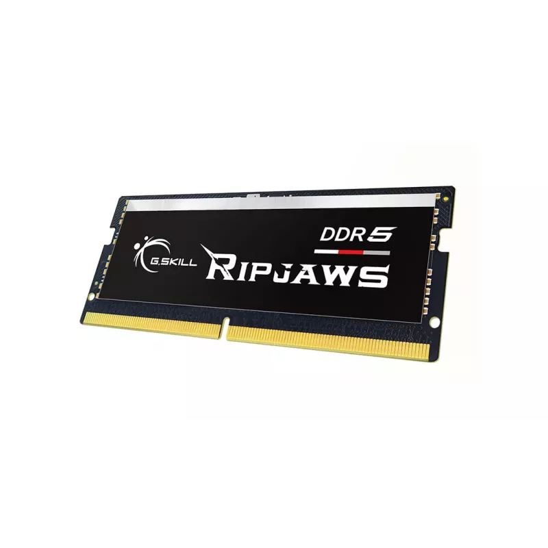 G.Skill Ripjaws F5-4800S4039A16GX1-RS geheugenmodule 16 GB 1 x 16 GB DDR5 4800 MHz