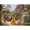 Puzzel Schmidt Spiele 59625 Blokpuzzel 1000 stukjes Cartoons