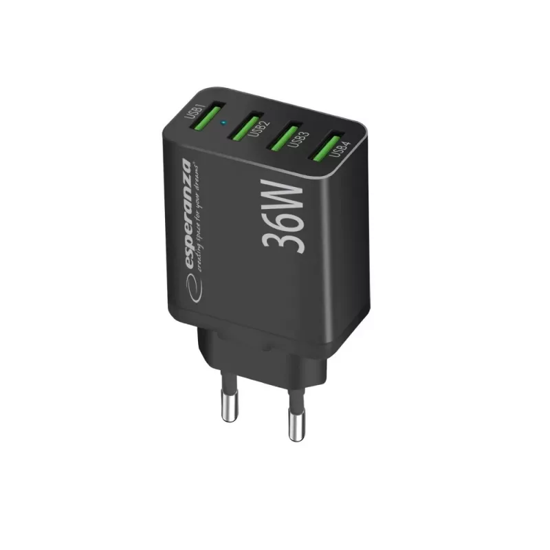 Esperanza EZC107K netlader 36W zwart