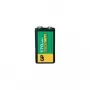 Oplaadbare batterij GP 30117R9H-C1 8,4V 170mAh NiMH accupack