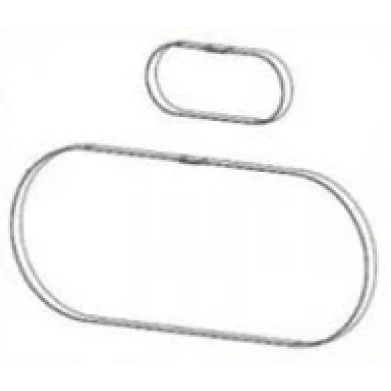 Zebra P1046696-146 printer-/scanner-vervangingsonderdeel/accessoire riem 2 stuks