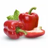PNOS paprika Ozarowska gecoate zaden, verpakking van 50
