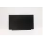 Lenovo 02HL701 13,3-inch HD TN LCD-paneel, antireflectie, 250 nits