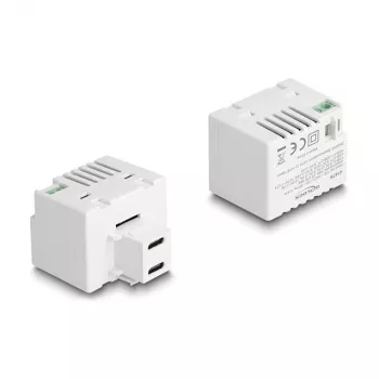 DeLOCK keystone-module 41479 2 x USB Type-C PD 20W wit
