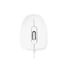 MODECOM M10 M-MC-0M10-200 muis (optisch, 1000 DPI, witte kleur) (M-MC-0M10-200)