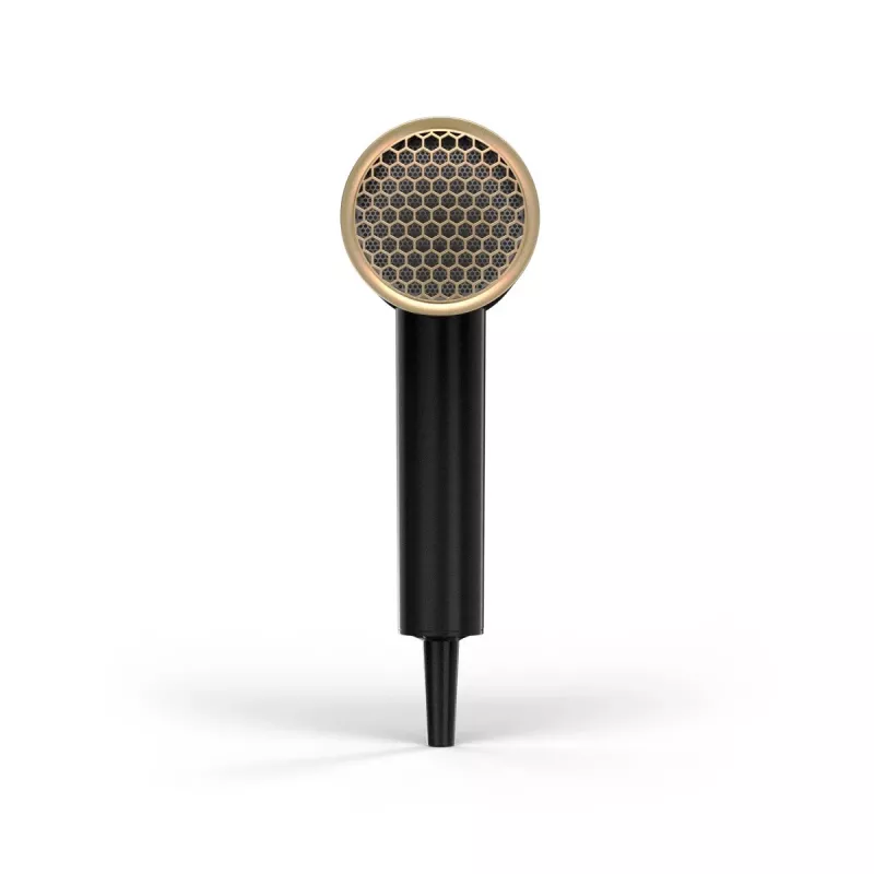 Wahl Ionic Flow haardroger 2100 W zwart, goud