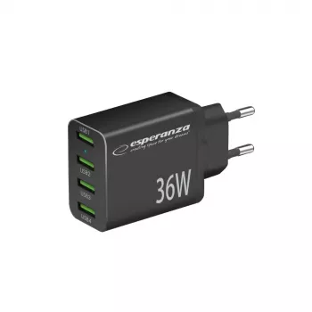 Esperanza EZC107K netlader 36W zwart