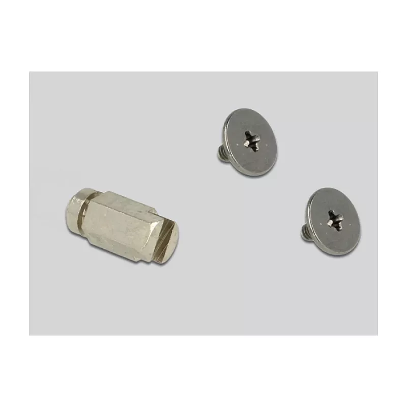 Interne M.2-adapter DeLOCK 65831