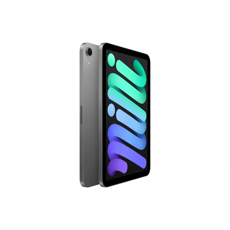 Apple iPad mini A17 Pro Wi-Fi - tablet - 128GB - 21,1 cm (8,3) IPS (2266 x 1488) - spacegrijs (MXN63NF/A)