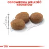 ROYAL CANIN Sterilised 37 - droogvoer voor katten - 10 kg