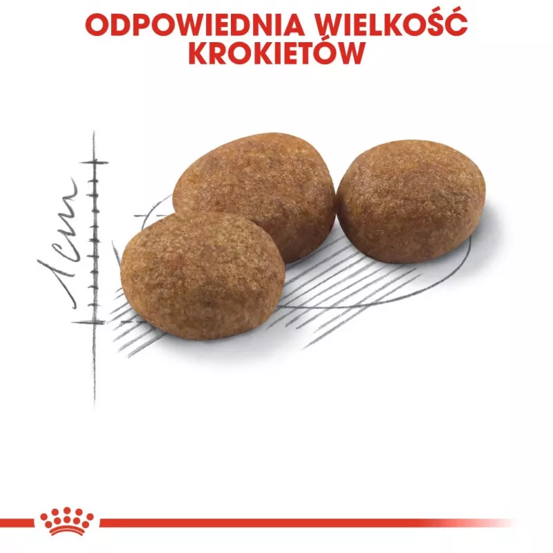 ROYAL CANIN Sterilised 37 - droogvoer voor katten - 10 kg