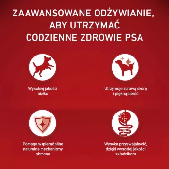 PURINA ONE MINI Dog Sensitive Salmon & Rice 1,5kg