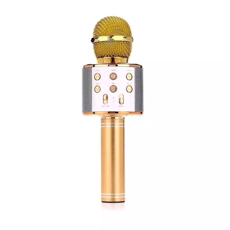Microfoon MANTA MIC10-G goud nier draagbaar — condensator nier, handontwerp