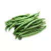 Nomad Green Dwarf bonenzaden, 50g - groentezaden