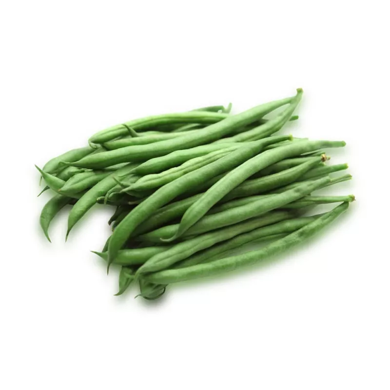 Nomad Green Dwarf bonenzaden, 50g - groentezaden