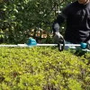 Makita DUN600L Double blade 3,4 kg