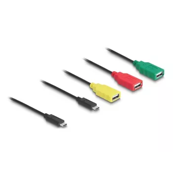 DeLOCK 4-poorts USB 2.0 kabel-hub USB Type-C naar 3 x USB-A bus + 1 x USB-C stekker