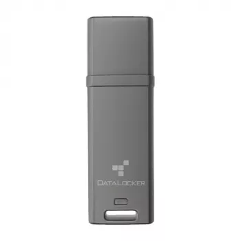 DataLocker 64GB DL GO 256BIT - flashgeheugen - bont (DLGO-064)