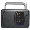 Radio net- en batterijvoeding FM, LW Eltra Ania