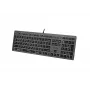 Bekabeld A4Tech-toetsenbord FX60H USB QWERTY – Full-Size 100%, achtergrondverlichting wit, grijs, USB-hub