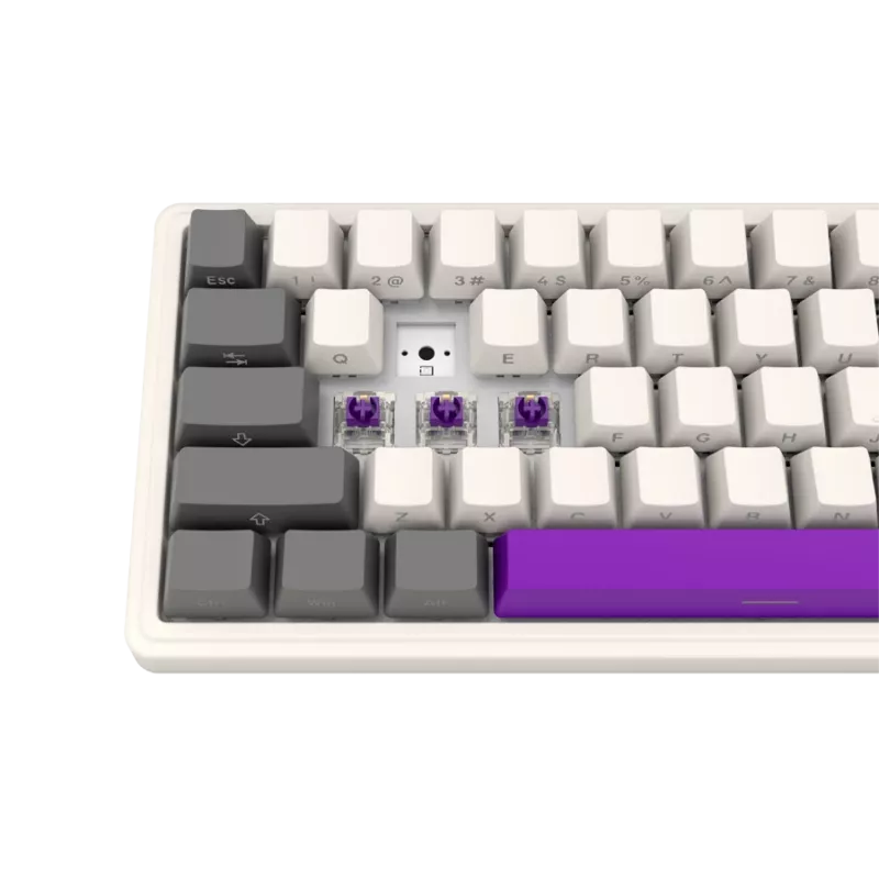 Draadloos mechanisch gaming-toetsenbord LORGAR KBP70MW 65%-layout beige