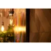 Slimme gloeilamp Shelly Vintage ST64 Wi-Fi transparant 230 V
