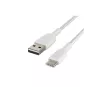USB-kabel Belkin CAB002BT0MWH 0,15 m USB A USB C wit