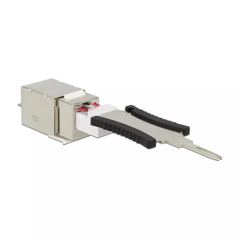 Delock 86404 Keystone-module RJ45 Secure Cat.6 naar LSA, wit