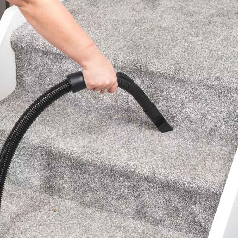 Stofzuiger Beldray BEL01797VDE VorteXL Pro