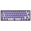 White Shark Purplepulse mechanische toetsenbordschakelaars 25 stuks
