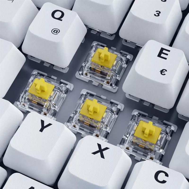 Sharkoon SKILLER SGK50 S3 PBT-toetsenbord gaming USB QWERTZ Duits wit