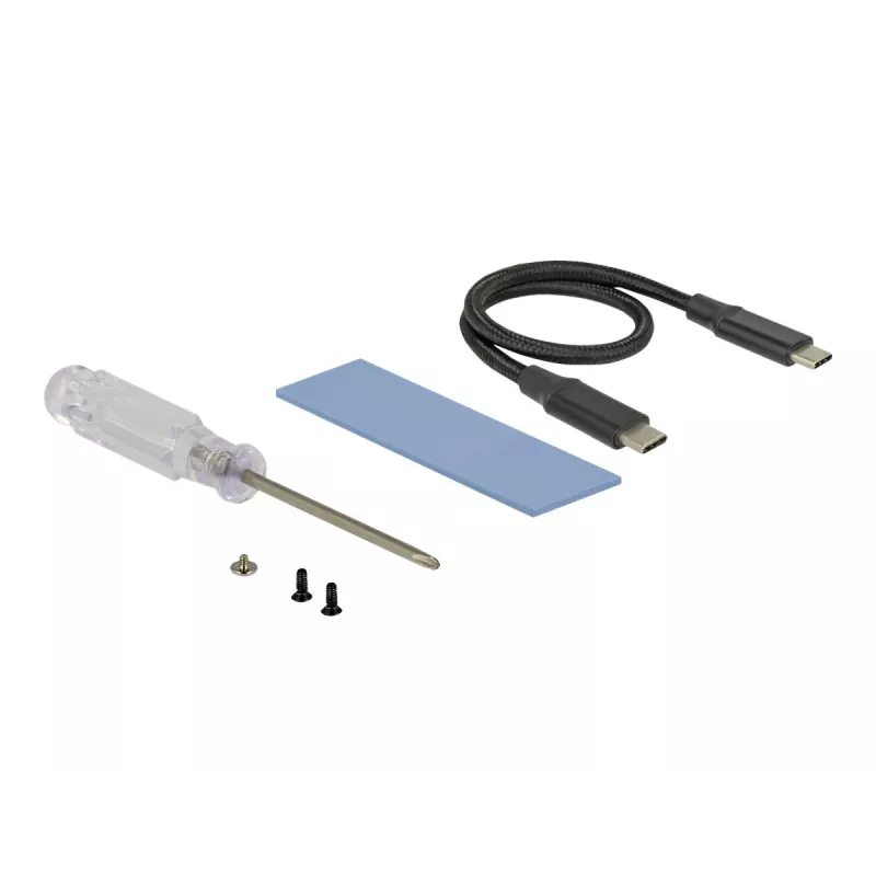 Interfacekaart DeLOCK 42600 USB 3.2 Gen 1