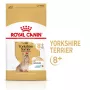 Droogvoer voor honden Royal Canin Yorkshire Terrier 8+ 3 kg — gevogelte, voor oudere Yorkshire Terriers, eiwit 29%, vet 18%