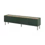 4D RTV-meubel ONDA 200x40xH54.35 groen (staand of wandmontage)