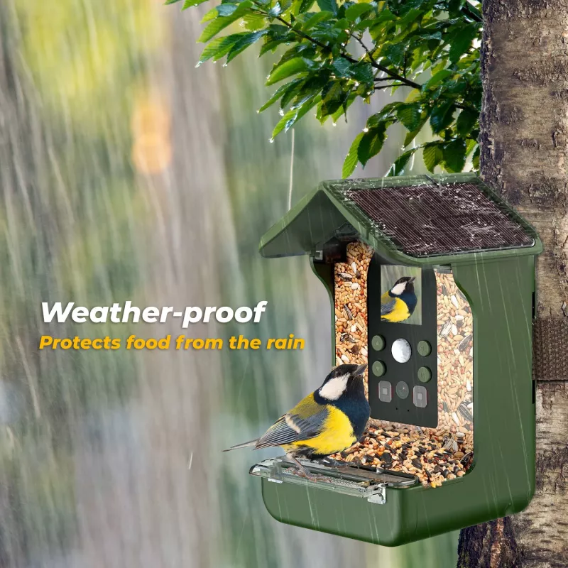 EASYPIX Bird Camera Easypix Bird Cam 10123 1080p HD nachtzicht