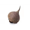 Donkerrode rode biet Toraf groentezaden, 20g pakket