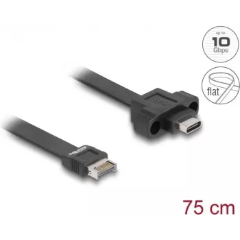 DeLOCK USB-flatkabel Type-E Key A 20-pin stekker naar USB Type-C bus 75 cm