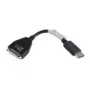 Lenovo 43N9160 DVI-D DisplayPort Zwart