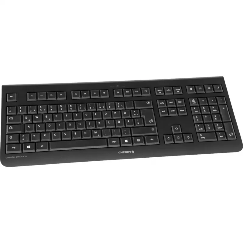 CHERRY DW 3000 toetsenbord muis inbegrepen universeel RF draadloos QWERTZ Duits zwart