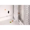 DIGITUS® 7HE wandbehuizing - grijs, RAL 7035 - 48,3 cm (19) (DN-19 07-U)