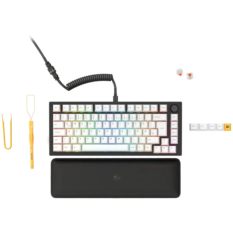 Glorious GMMK Pro zwart Slate 75% TKL toetsenbord - voorgemonteerd, ISO-DE-layout - zwart (GLO-GMMK-P75-FOX-ISO-B-DE)