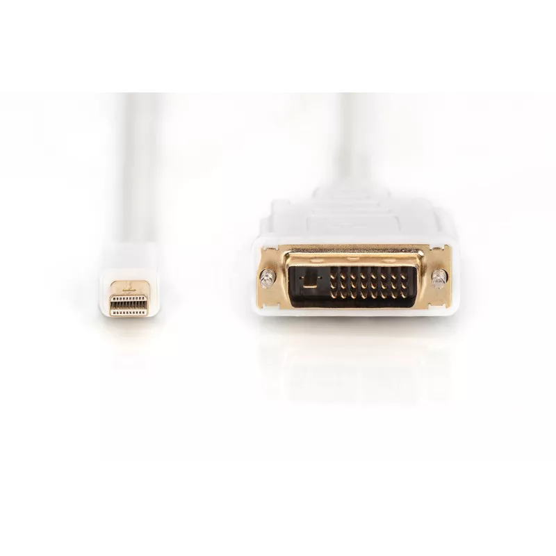 Kabel DisplayPort 1.1a Mini DP-DVI type A MM 2,0 m