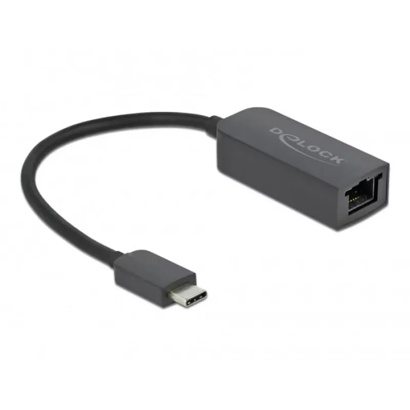 Adapter USB Type-C stekker naar 2,5 Gigabit LAN compact DeLOCK 66645