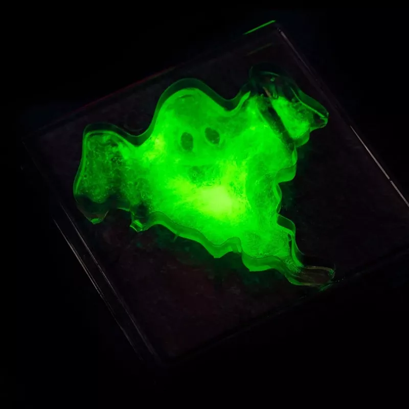 Wetenschapsbouwpakket Liscianigiochi Crazy Science slijm in het donker 304-PL89239 — experimenteerset met in het donker oplichtend slijm