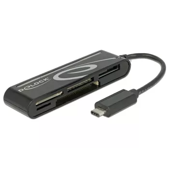 DeLOCK USB2.0 Card Reader USB Type-C male 5 slots - kaartlezer - all-in-one (multi-format) - USB-C (91739)