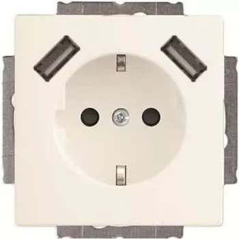 Busch-Jaeger SCHUKO-2x USB stopcontact 20 EUCB2USB-884 (2CKA002011A6277)