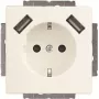 Busch-Jaeger SCHUKO-2x USB stopcontact 20 EUCB2USB-884 (2CKA002011A6277)