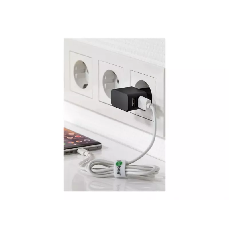 Wentronic goobay dual-USB-oplader - voeding - 12 watt - 2,4 A - 2 uitgangen (USB) - zwart (44951)
